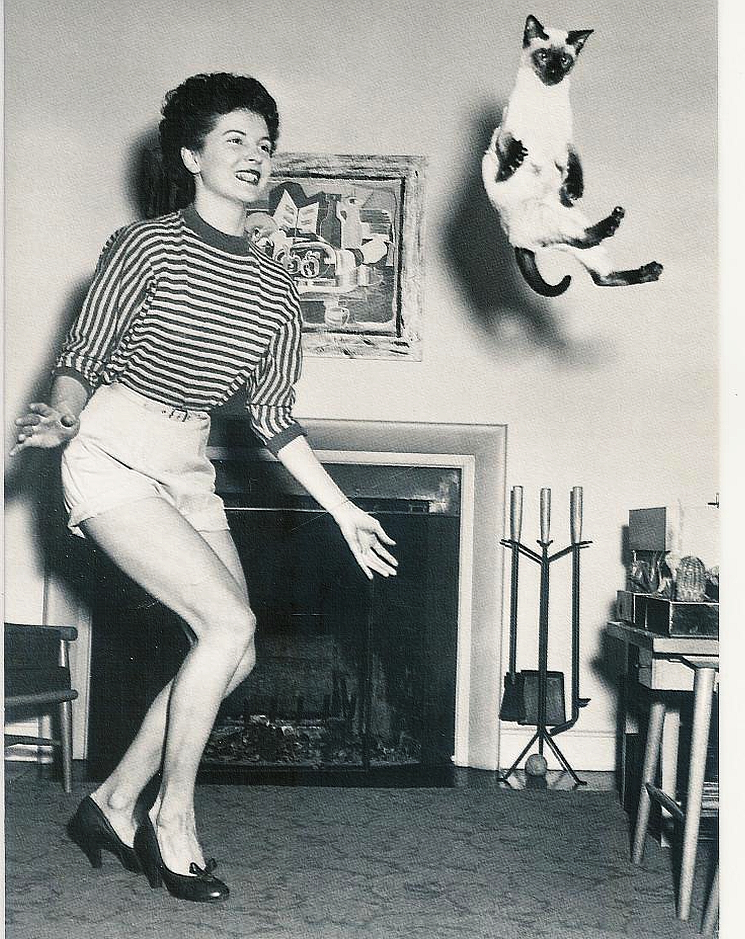 Dancing Cat