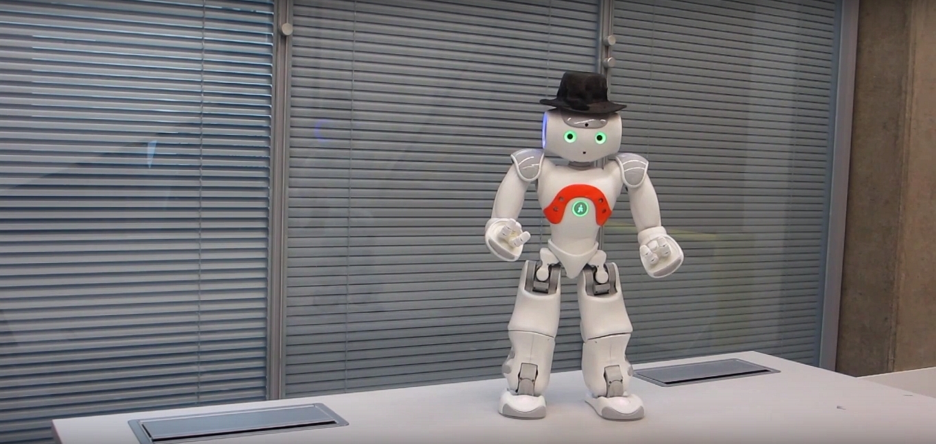 Robo Shim Sham