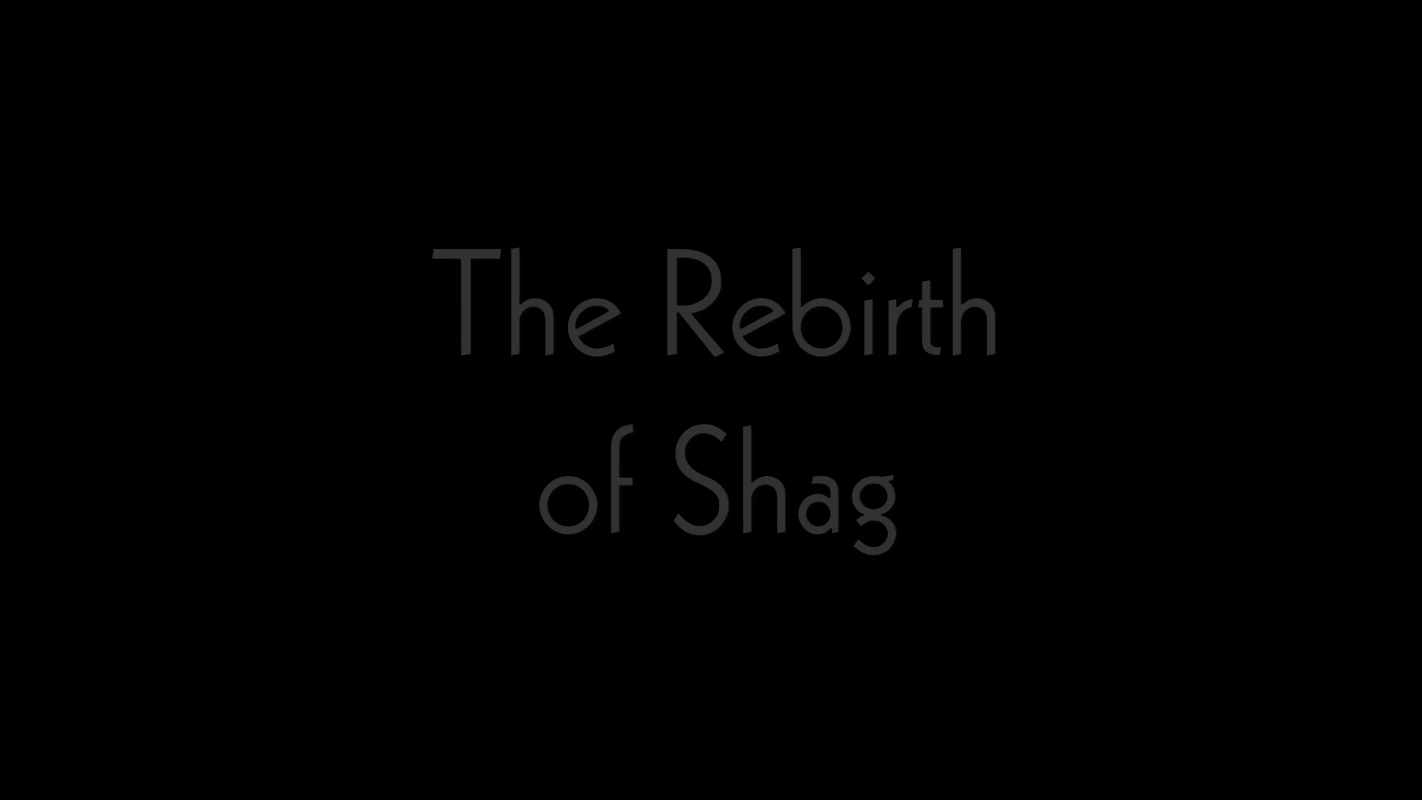 The Rebirth of Shag